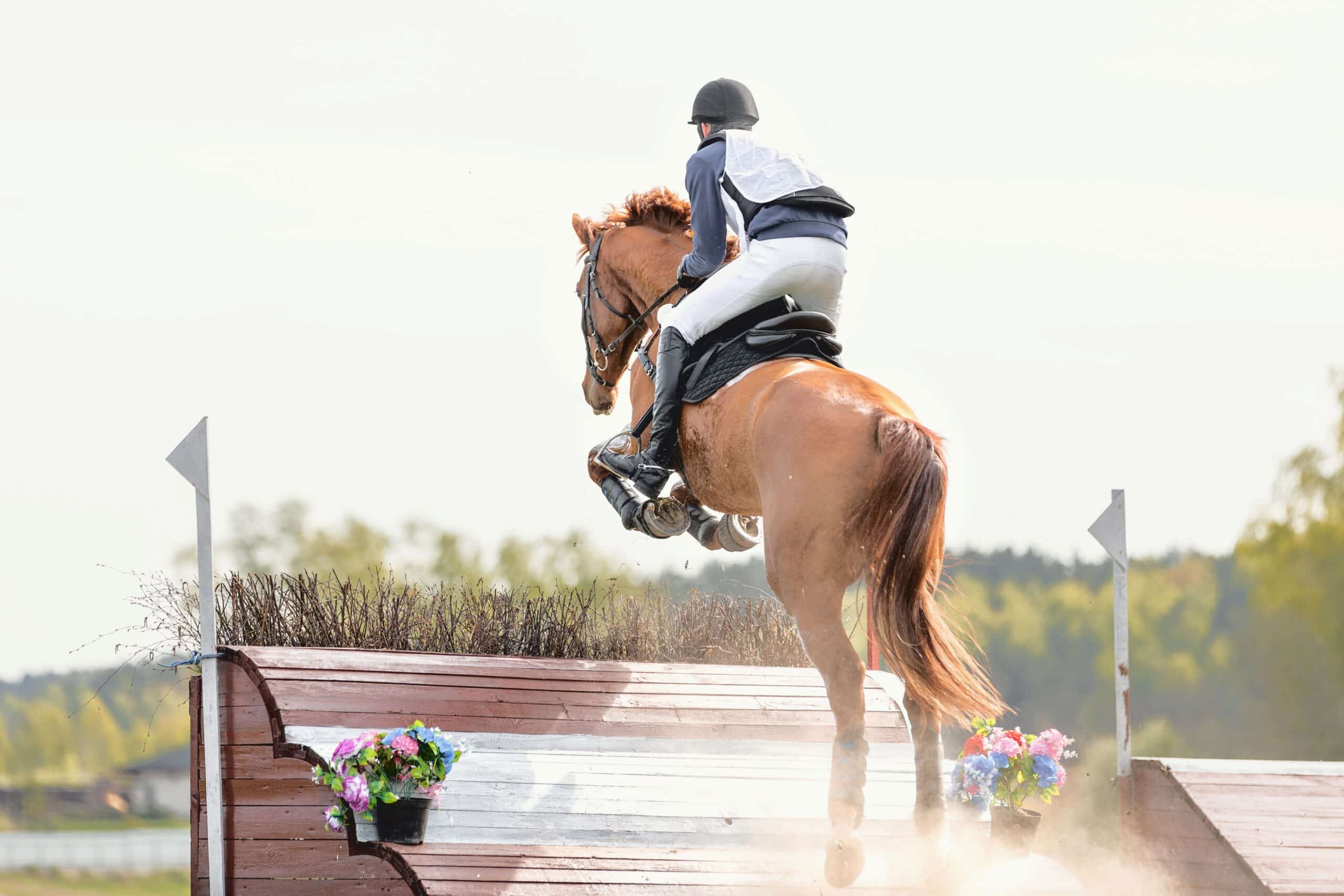 Horse and rider jumping over an obstacle