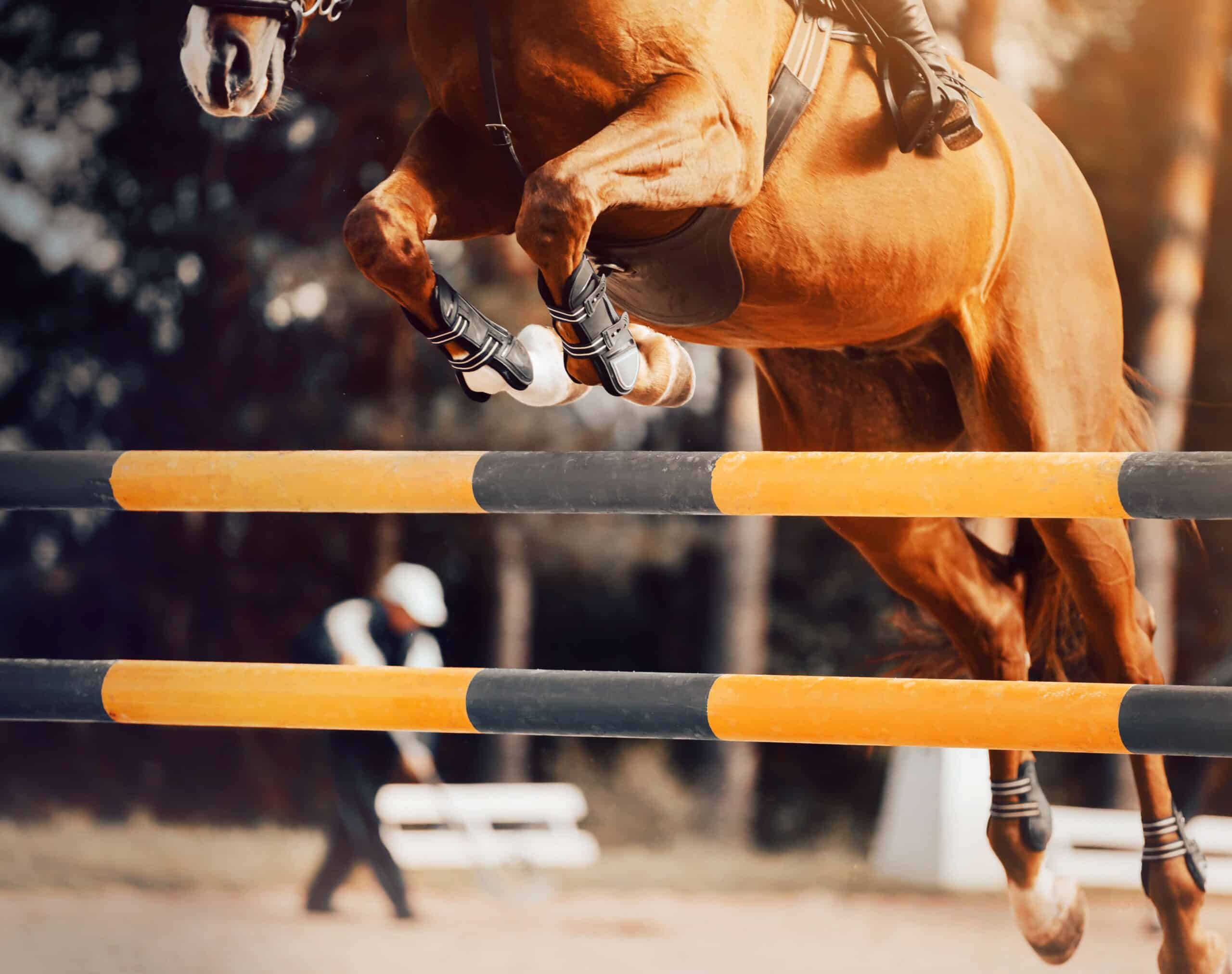 Close-up of a horse mid-jump over an obstacle