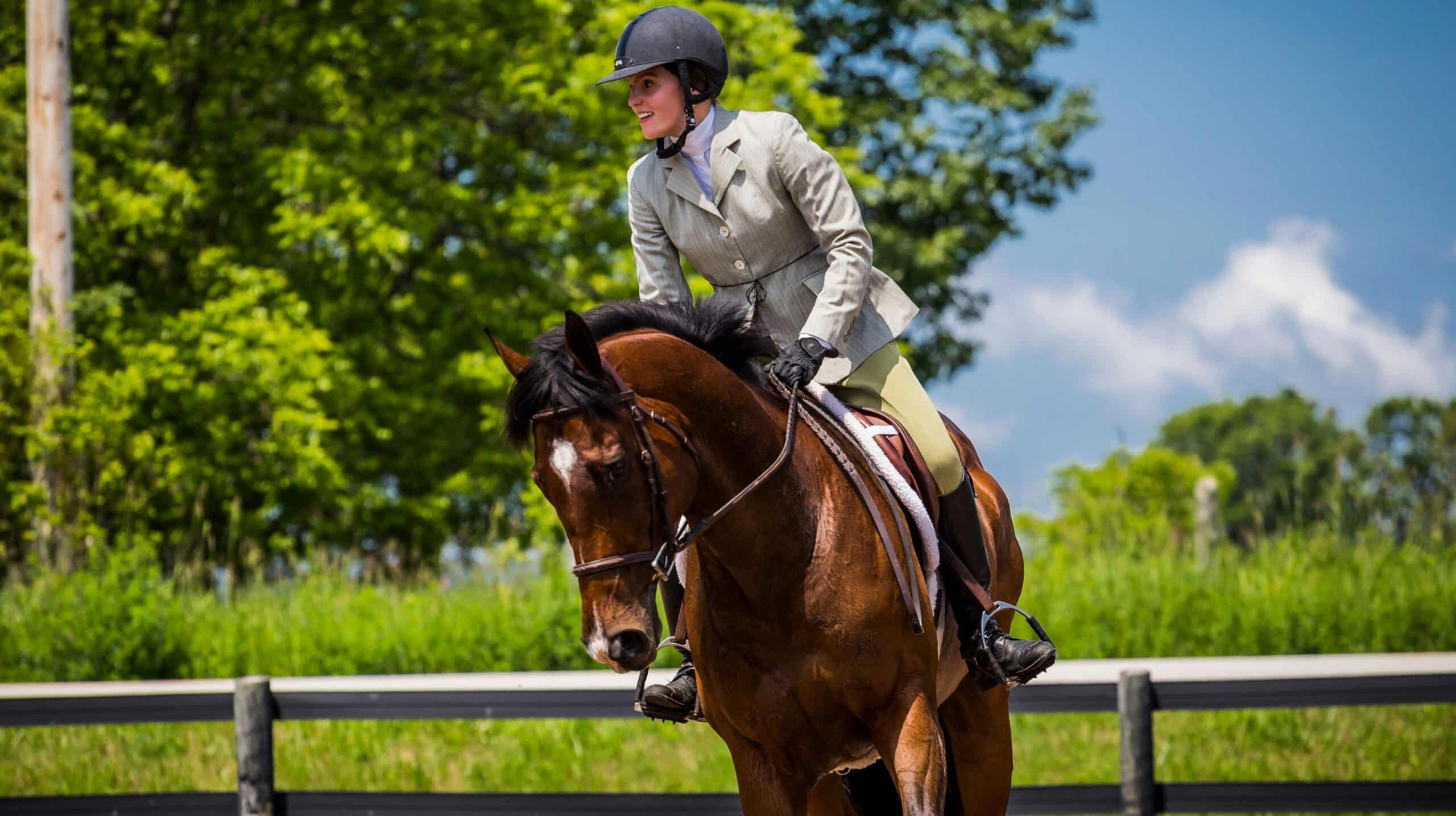 Hunter jumper horse with rider in traditional attire – calm and focused moment reflecting values behind hunter jumper horses for sale