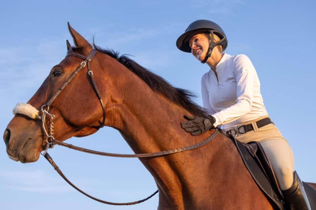 Confident female rider on a bay horse under clear blue sky – representing balance and harmony in hunter jumper horses for sale