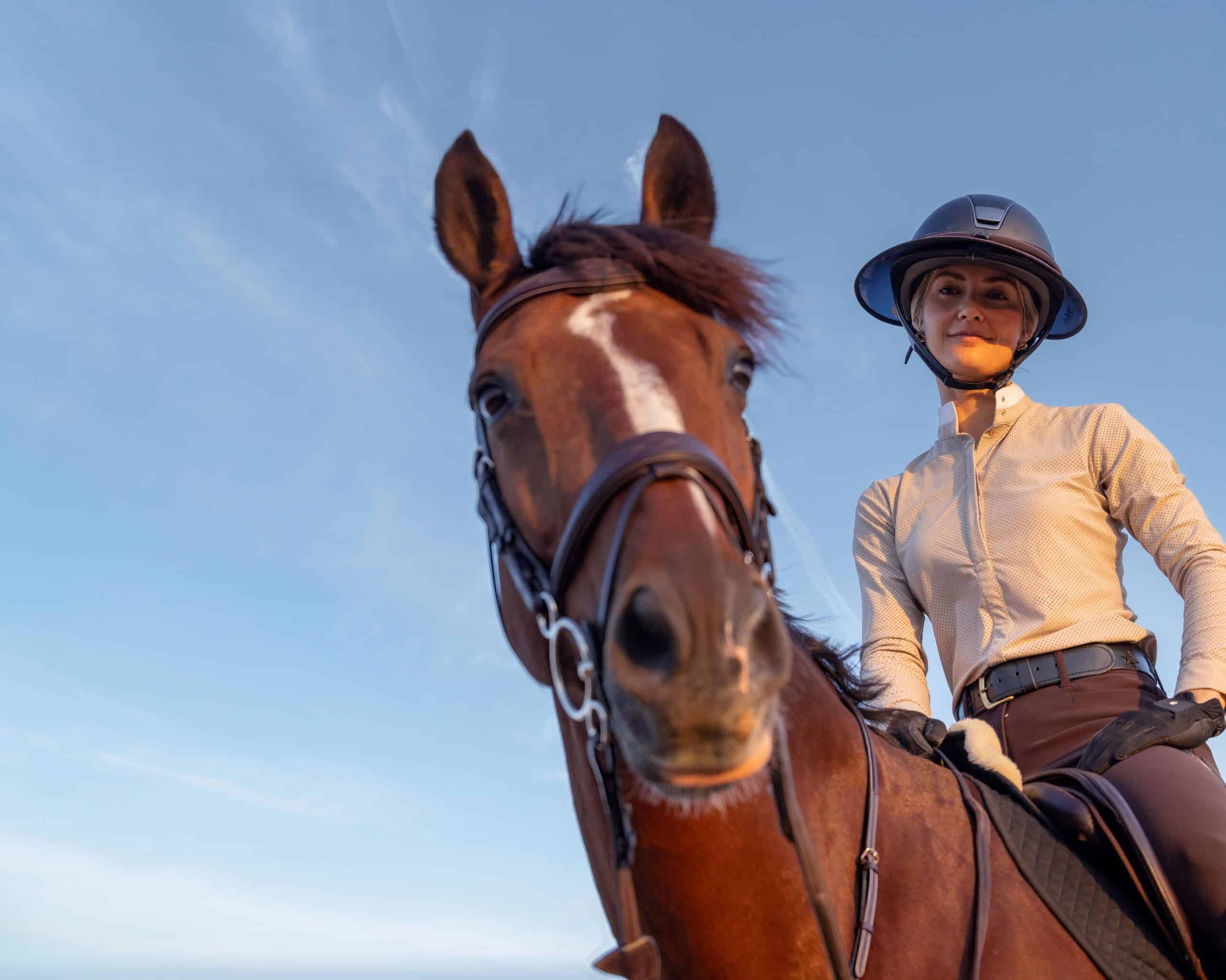 Close-up of hunter jumper horse and calm rider – reflecting trust, discipline, and lifestyle behind hunter jumper horses for sale